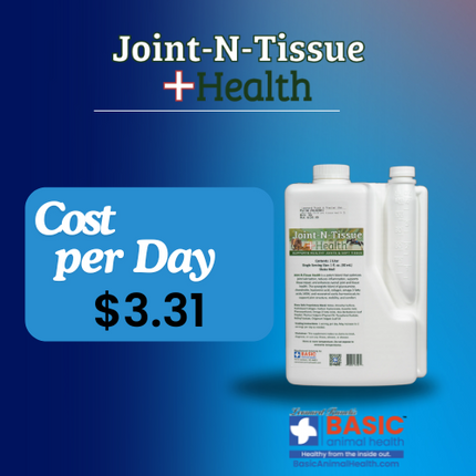Joint-N-Tissue Health for Horses