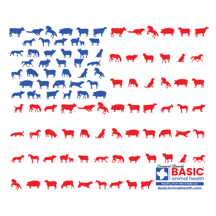 Animal American Flag T-Shirts