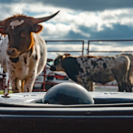 Cobett Model LB Large Cattle Waterer