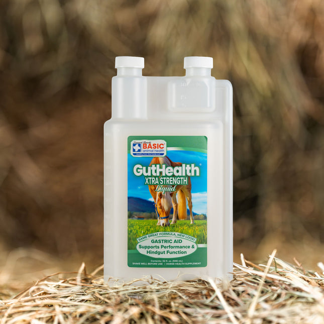 GutHealth Xtra Strength Liquid Supplement for Horses