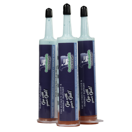 GutHealth Xtra Strength Gel for Horses - 3 Pack