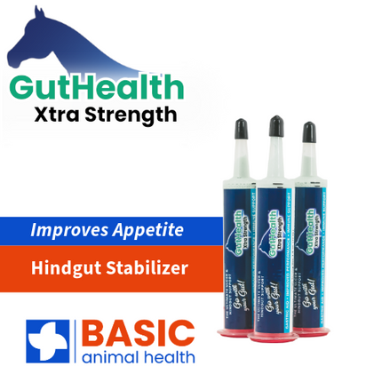 GutHealth Xtra Strength Gel for Horses - 3 Pack