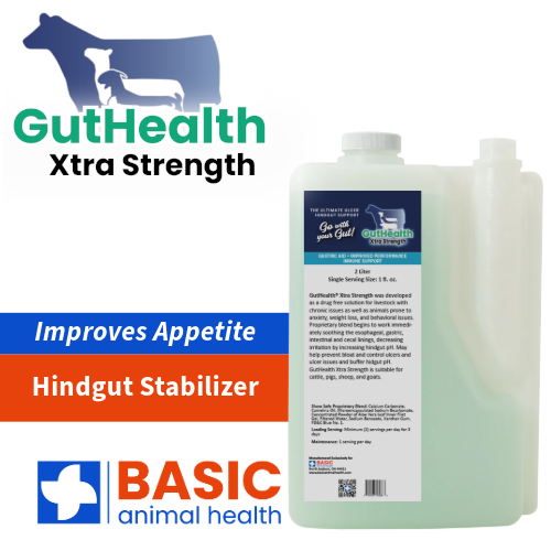 GutHealth Xtra Strength Liquid Supplement for Livestock