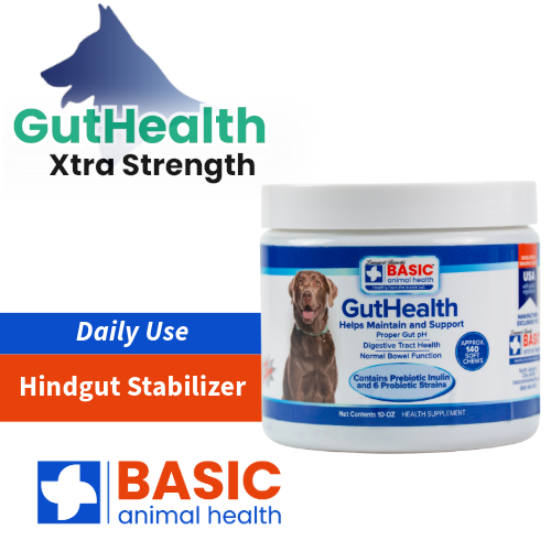 GutHealth Xtra Strength for Dogs - 10 oz.