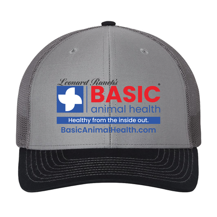 Basic Logo Richardson 112 Hats