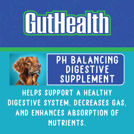 GutHealth Xtra Strength for Dogs - 10 oz.