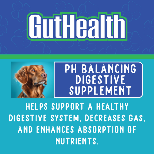 GutHealth Xtra Strength for Dogs - 10 oz.