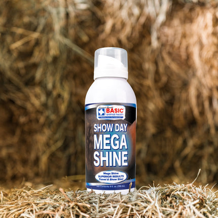 Mega Shine
