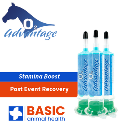 O2 Advantage for Horses - 3 Pack
